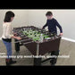 Hathaway Primo 56" Foosball Table